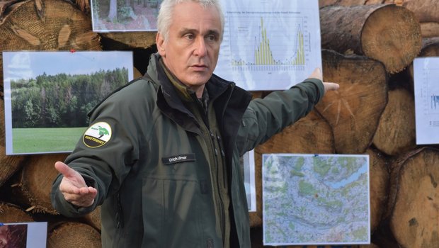 Kreisforstingenieur Ulrich Ulmer zeigte im Eschenzer Waldgebiet «Schoomet» die Entwicklung der Borkenkäferschäden der letzten Jahre auf.(Bilder Thomas Güntert)