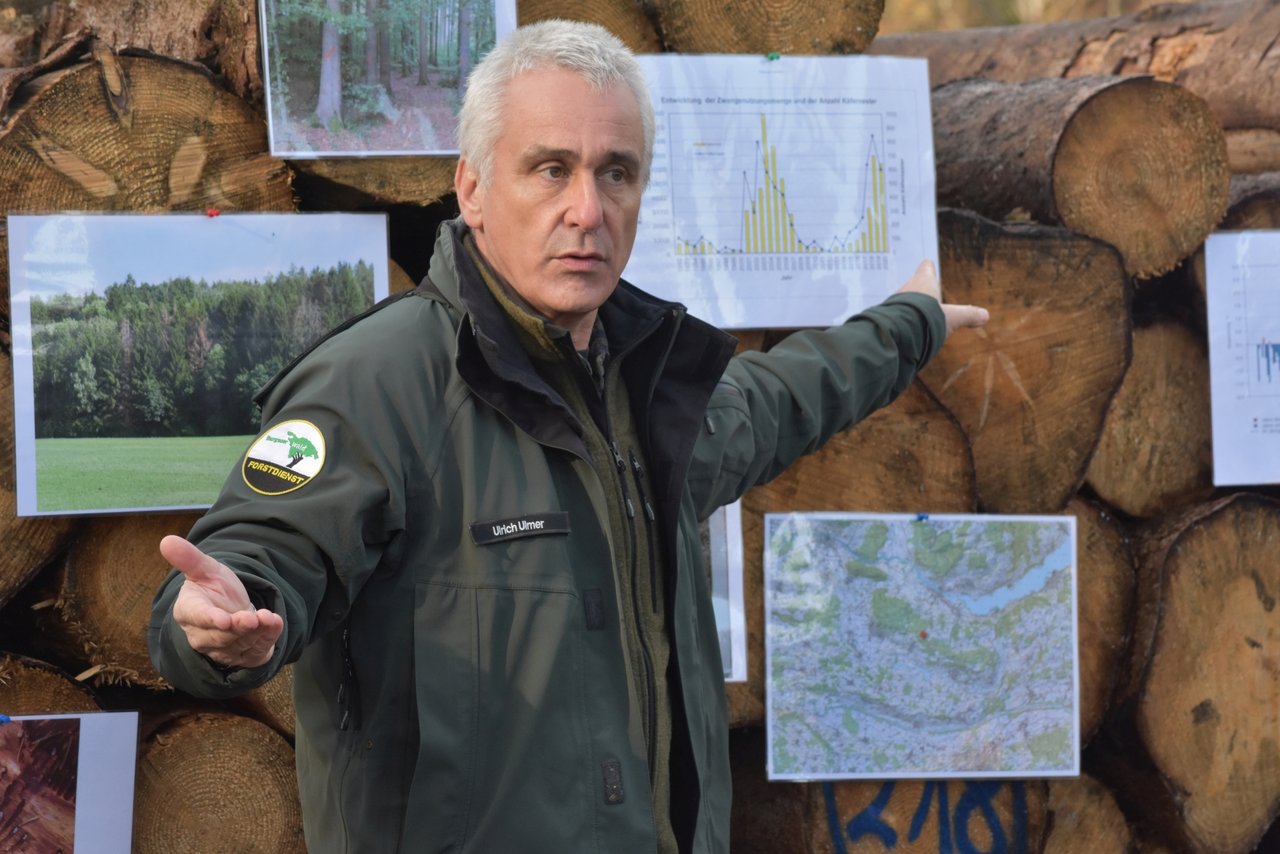 Kreisforstingenieur Ulrich Ulmer zeigte im Eschenzer Waldgebiet «Schoomet» die Entwicklung der Borkenkäferschäden der letzten Jahre auf.(Bilder Thomas Güntert)