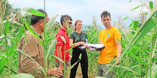 Gemeinsam mit dem Bauern und seinem geschulten Auge evaluieren Noah Rauser und seine Teamkolleg(innen) die Wirksamkeit der Insektizide.
