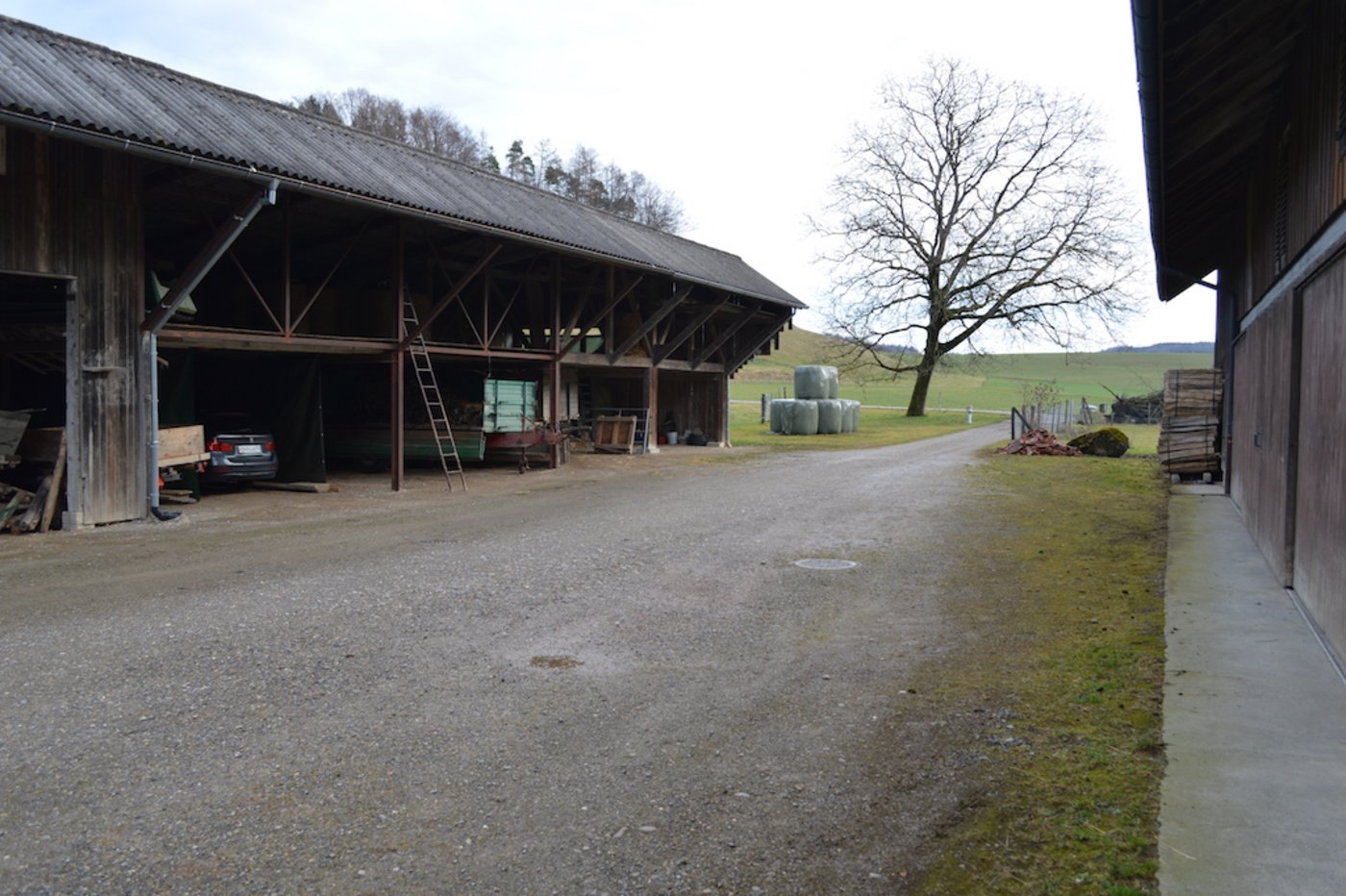 Der Betrieb von Margrit Binder fasst 14 Hektaren.