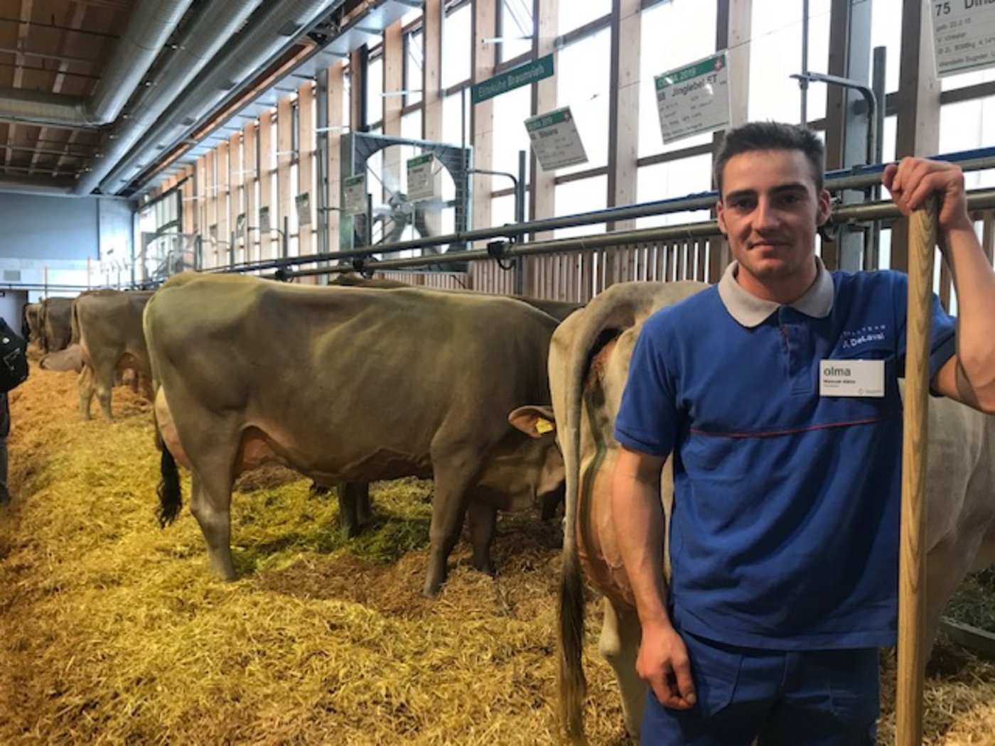 Landwirt Manuel Kälin aus Einsiedeln SZ ist während der Messe im Stall tätig. (Bild akr)