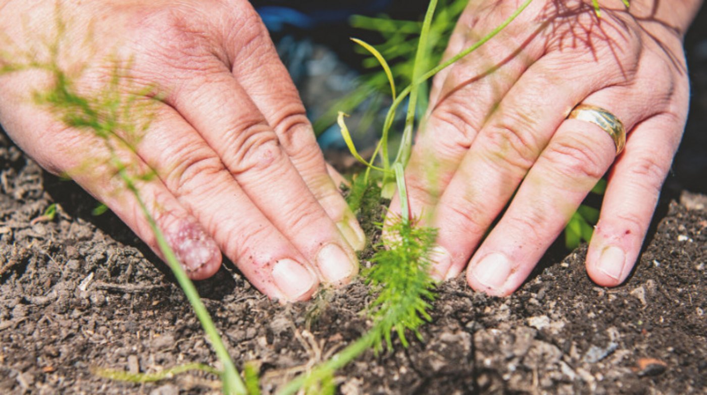Beim Säen, Setzen und Jäten im Garten kann Karin Niederberger abschalten und Kraft tanken. Oft jodelt sie auch während des Gärtnerns. (Bild Marion Nitsch)