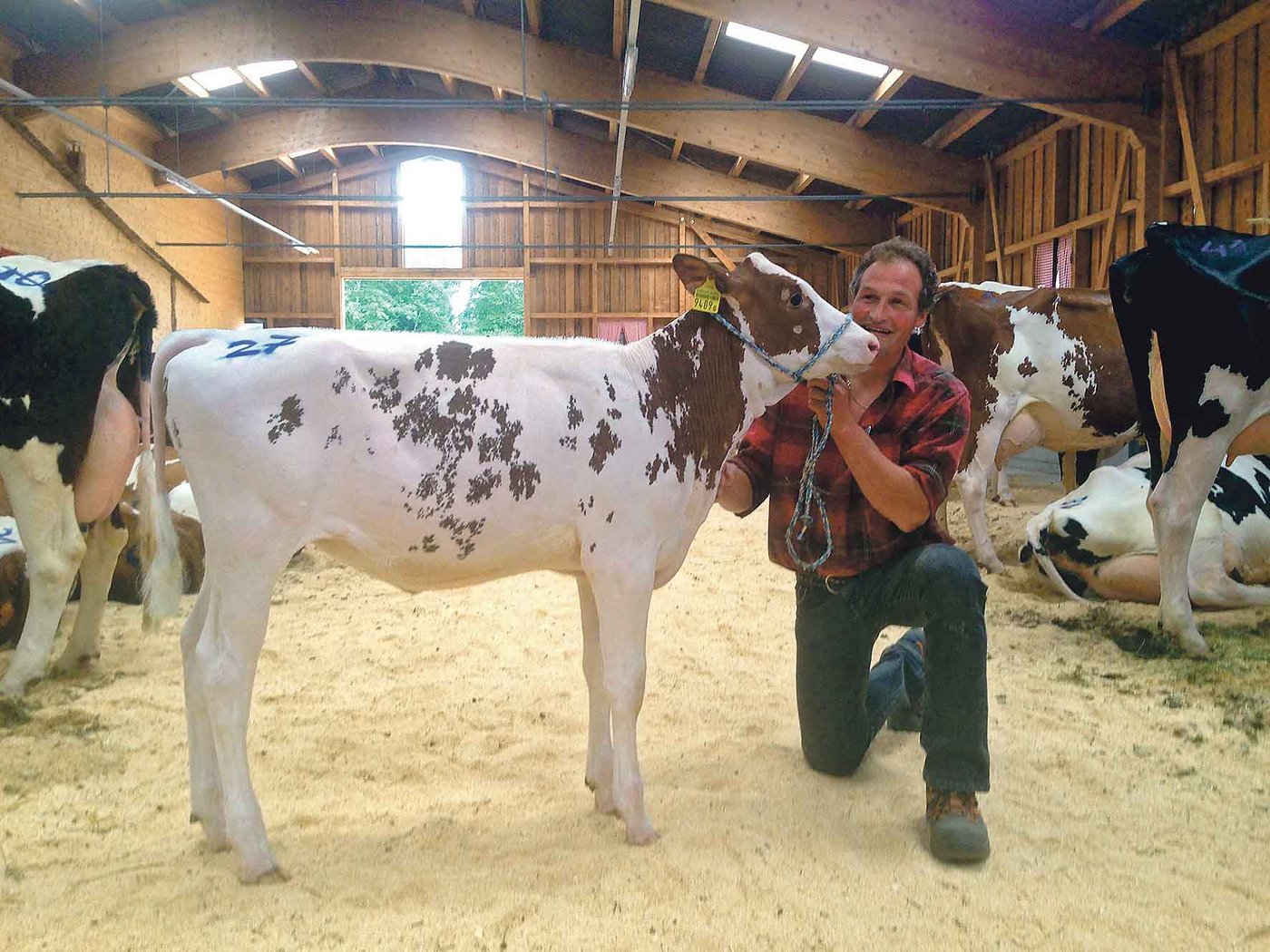Vielversprechend: Richard Ueltschi mit seinem Kauf. (Bild Beat Lerch)