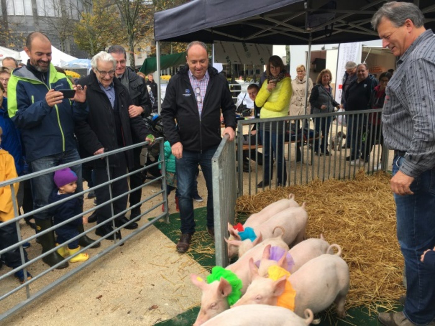 Regierungsrat Markus Dieth holte die Säuli fürs Rennen aus dem Gatter. (Bild BVA)