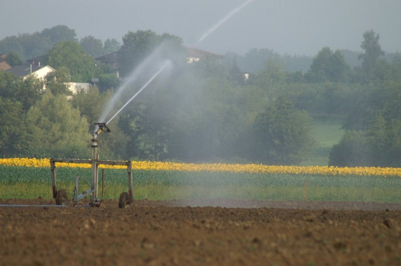 Die Bewässerung dämpft diese spezifische Folge des Klimawandels nur in Regionen, in denen besonders stark bewässert wird. (Bild Ruth Aerni)