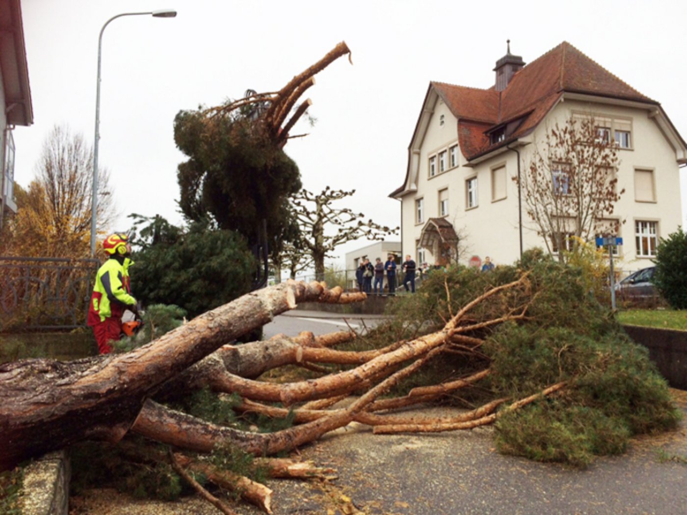 Landwirt mit Leidenschaft fürs Holzen: Pascal Brändle. 