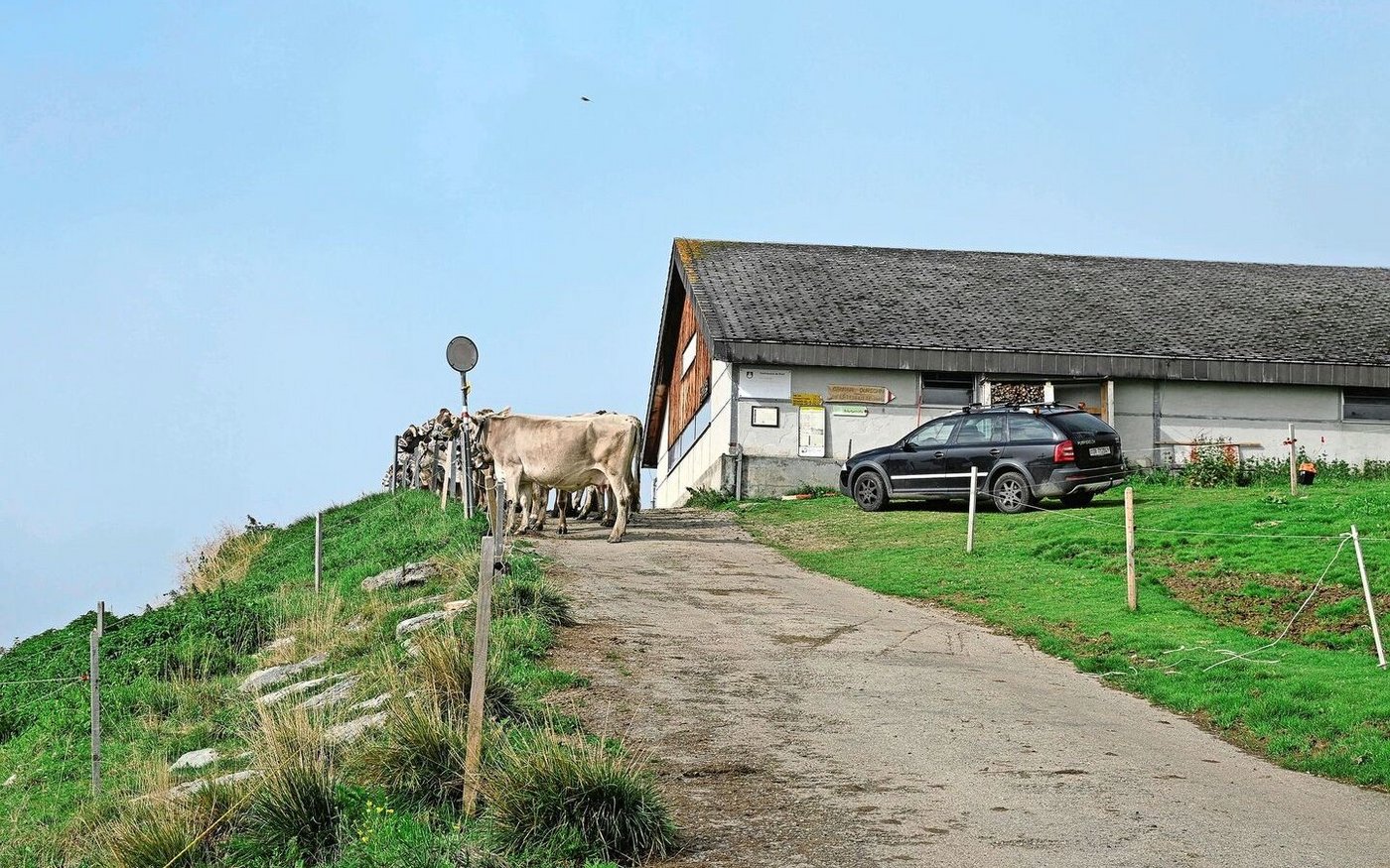 Die Alp Quader liegt auf 1904 Meter Höhe. Eine der Alpen, wo die Kühe schön aufgereiht bereitstehen und darauf warten, geschmückt zu werden und endlich zurück ins Tal zu wandern.