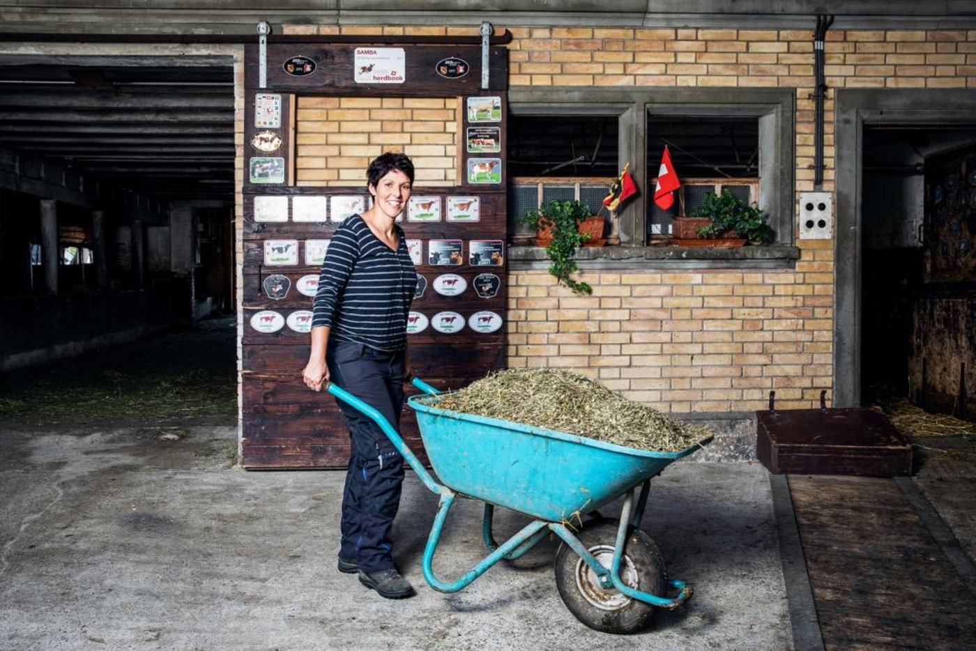 Zwar bezeichnet sich Barbara Matter als «Innenministerin», sie packt aber trotzdem regelmässig im Stall mit an und kümmert sich um die Kälber. (Bild Ueli Christoffel/SRF)
