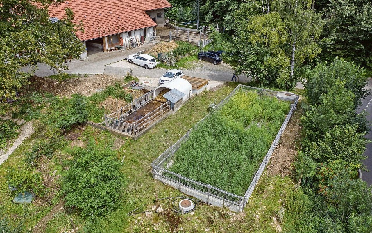 Rechts im Bild: Eine Pflanzenkläranlage bestehend aus einem mit Schilf bepflanzten Sandfilter. 