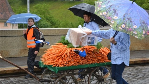 Im strömendem Regen, aber guten Mutes: Bauern marschieren im Juli 2014 mit Unterschriftenkarton und Rüebli Richtung Bundeskanzlei. Am Sonntag folgt nun die Abstimmung über den Gegenvorschlag zur Initiative für Ernährungssicherheit. (Bild jw) 