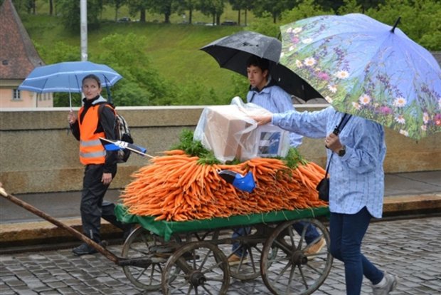 Im strömendem Regen, aber guten Mutes: Bauern marschieren im Juli 2014 mit Unterschriftenkarton und Rüebli Richtung Bundeskanzlei. Am Sonntag folgt nun die Abstimmung über den Gegenvorschlag zur Initiative für Ernährungssicherheit. (Bild jw) 