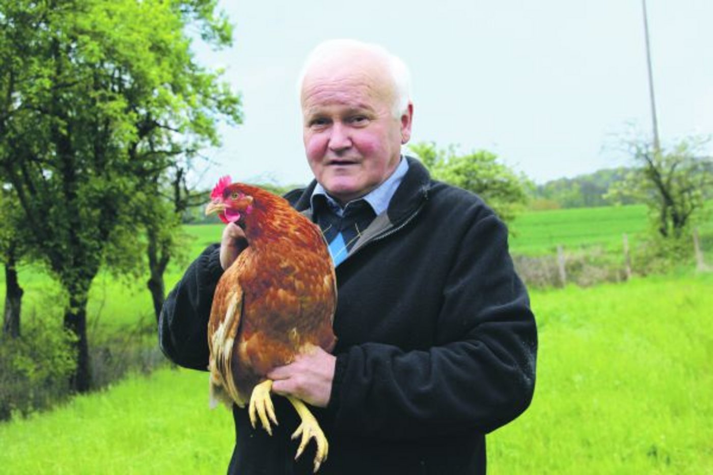 Ernst Beyeler mit einer seiner braunen Hennen auf der Hühnerweide in Oberflachs AG. Wegen des seit drei Tagen anhaltenden Regens hatten die Hennen beim Fototermin keinen Ausgang. (Bild Hans Rüssli)
