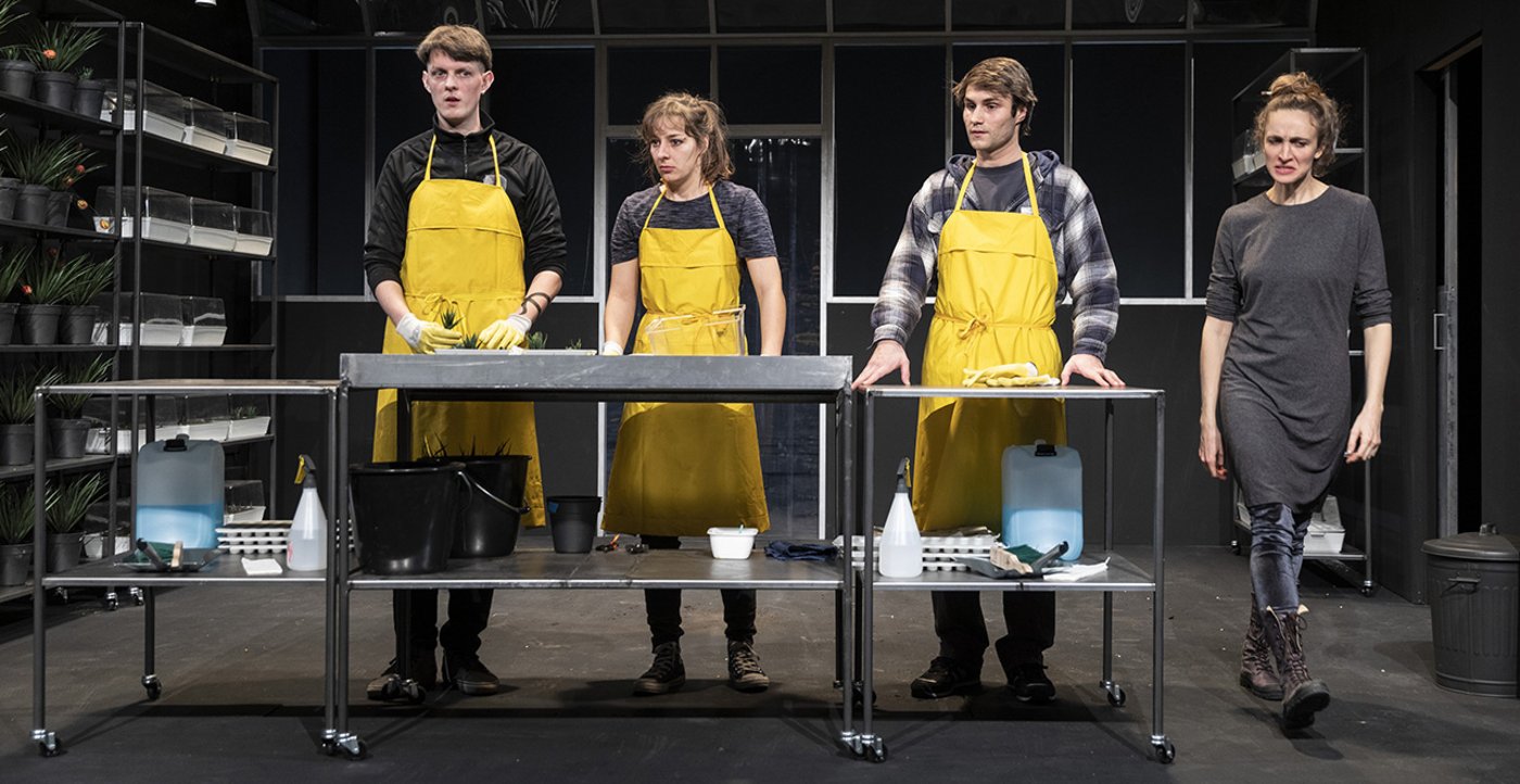 Tristan liebt Pflanzen mehr als Menschen. (Bild dastheater-effingerstr.ch)