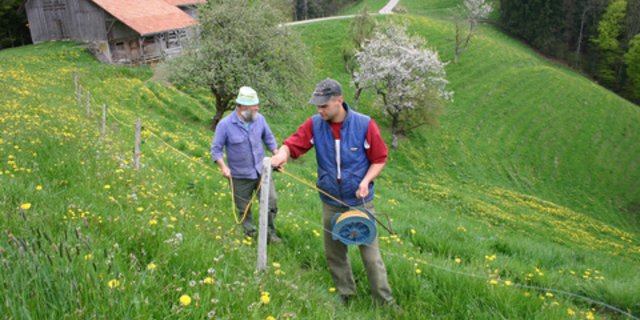 Gute Zäune aufzustellen ist nicht trivial – das Video der Agridea gibt anschauliche Tips. (Bild BauZ)
