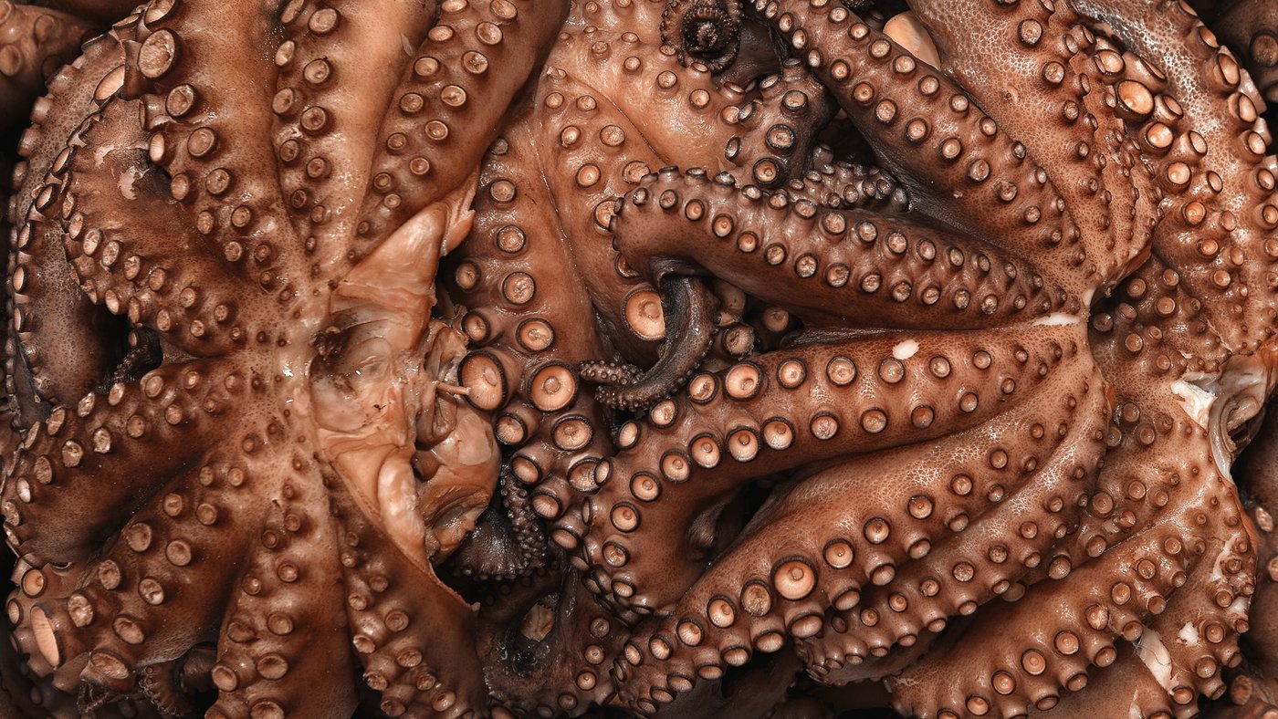 Der Ekel vor speziellen Strukturen und Konsistenzen. (Bild Alimentarium)