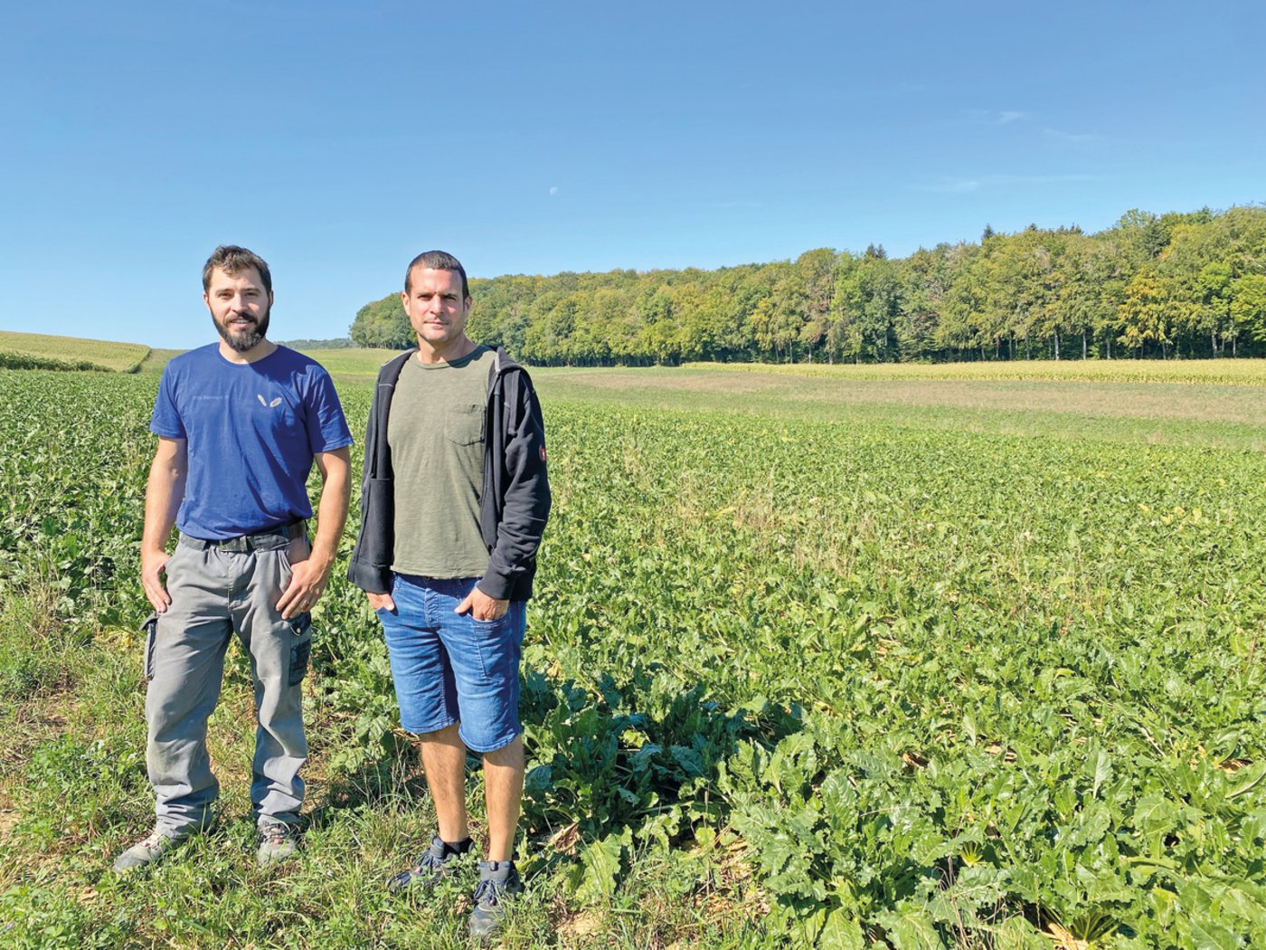 Auf den Parzellen von Julien Faivre (l.) wurde der Versuch angelegt. Bioberater Milo Stoecklin (r.) hat diesen betreut. Im Hintergrund zeigt sich, dass das Unkraut sich grossflächig in den gesäten Zuckerrüben ausgebreitet hat, während in der «gesetzten» Variante (vorne im Bild) kaum ein Unkraut wächst. (Bild ke)