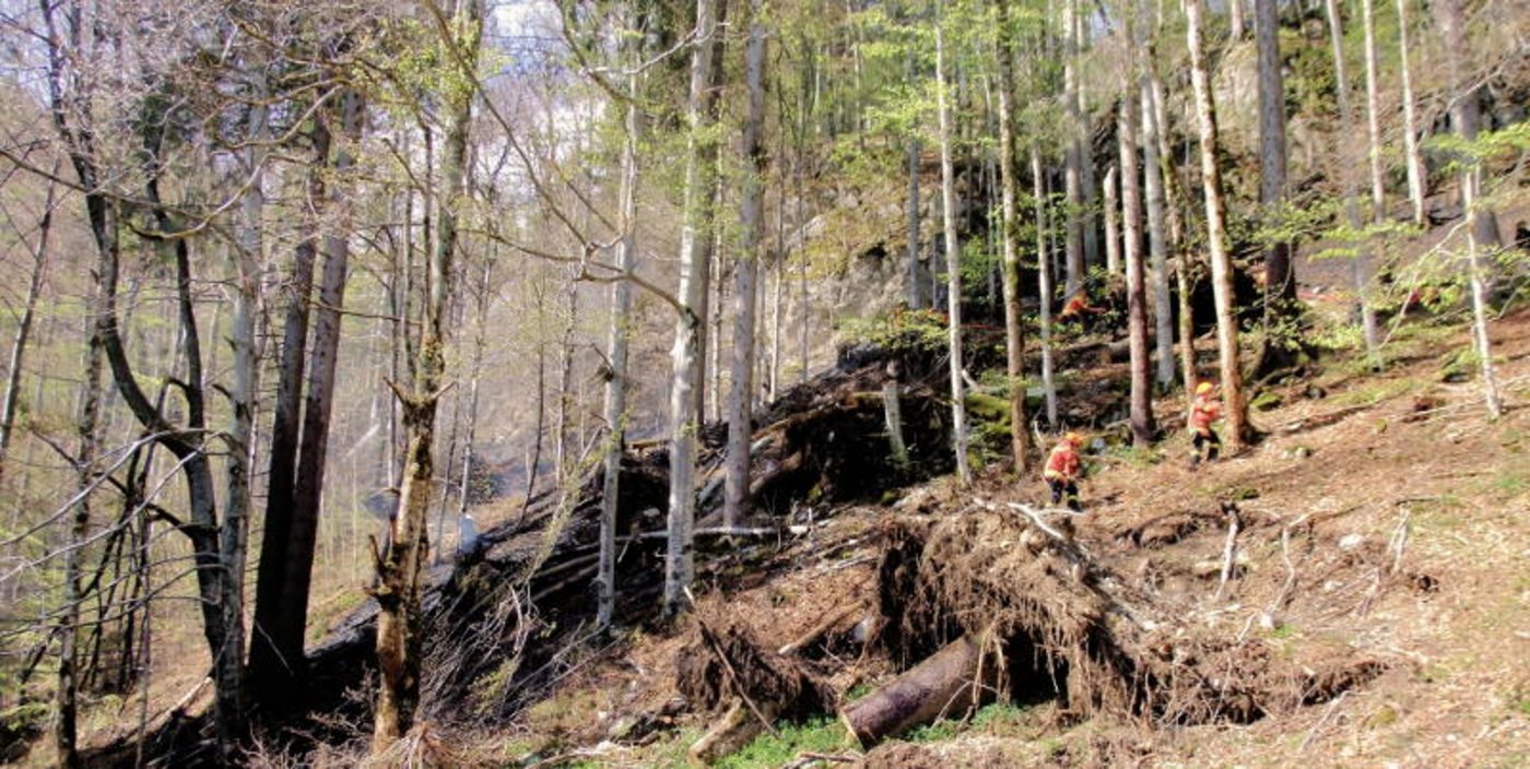(Bild Kantonspolizei St.Gallen)