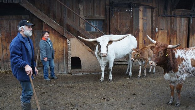 Halten Texas Longhorns als Hobby: Therese und Peter Kuster. (Bilder Martin Brunner)