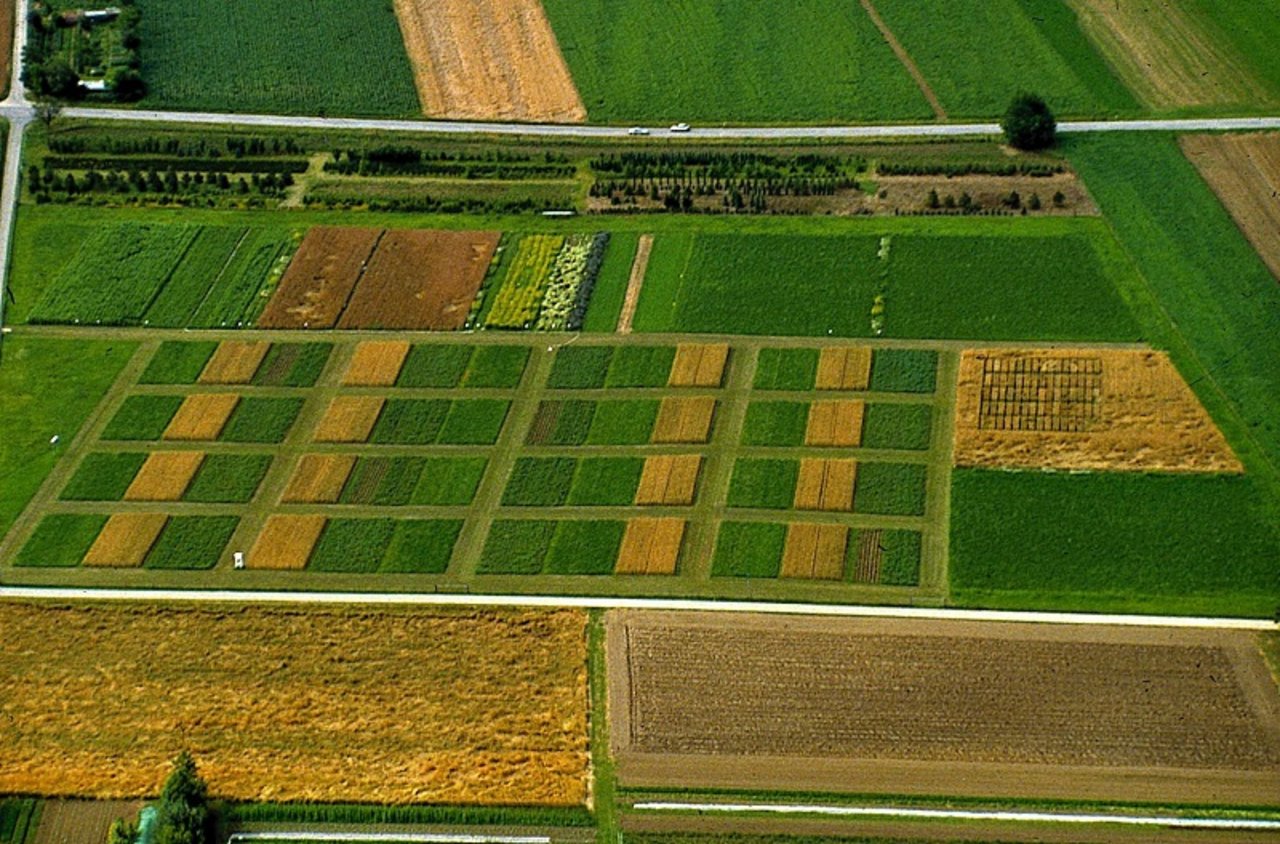 Der DOK-Versuch des Fibl aus der Vogelperspektive. Hier werden Mais, Weizen, Kartoffeln, Soja und Kleegras auf unterschiedliche Weise angebaut. (Bild Fibl)