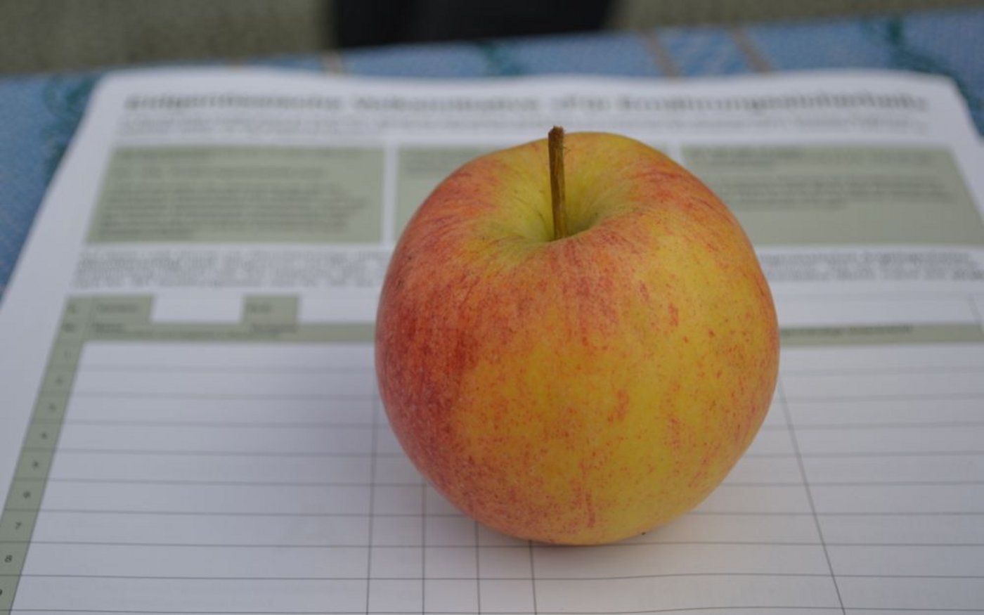 Die Berner Bauern unterstützen die SBV-Initiative für Ernährungssicherheit. Am Dientag startete die Unterschriftensammlung offiziell. (Bild: jw)