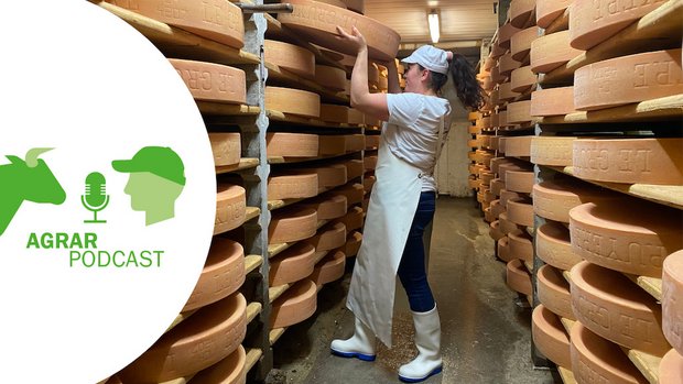 AgrarPodcast zum 10.: Tierschutz auf dem Ballenberg und eine Frau im Käsekeller Milchtechnologin Daniela Weber möchte ein Vorbild sein für junge Frauen, die sich in einem «Männerberuf» betätigen wollen. (Bild Sera Hostettler)