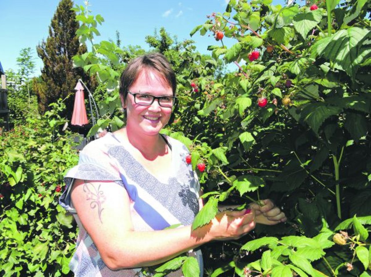 Denise Heiniger-Graber liest mit Genuss Beeren vom Strauch in ihrem Garten. Die Beeren sind für ihre drei Söhne und ihren Mann. (Bild Barbara Heiniger)
