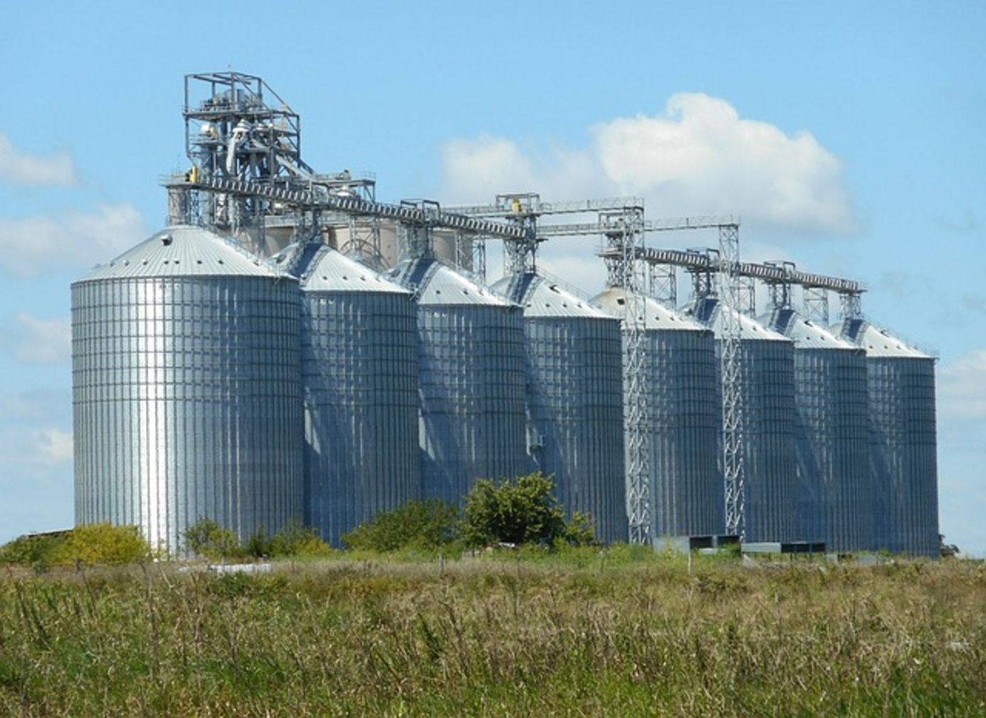 Wegen der schwierigen Rettung aus dem Silo konnte der Arbeiter nach Stunden nur noch tot geborgen werden. (Symbolbild Pixabay)