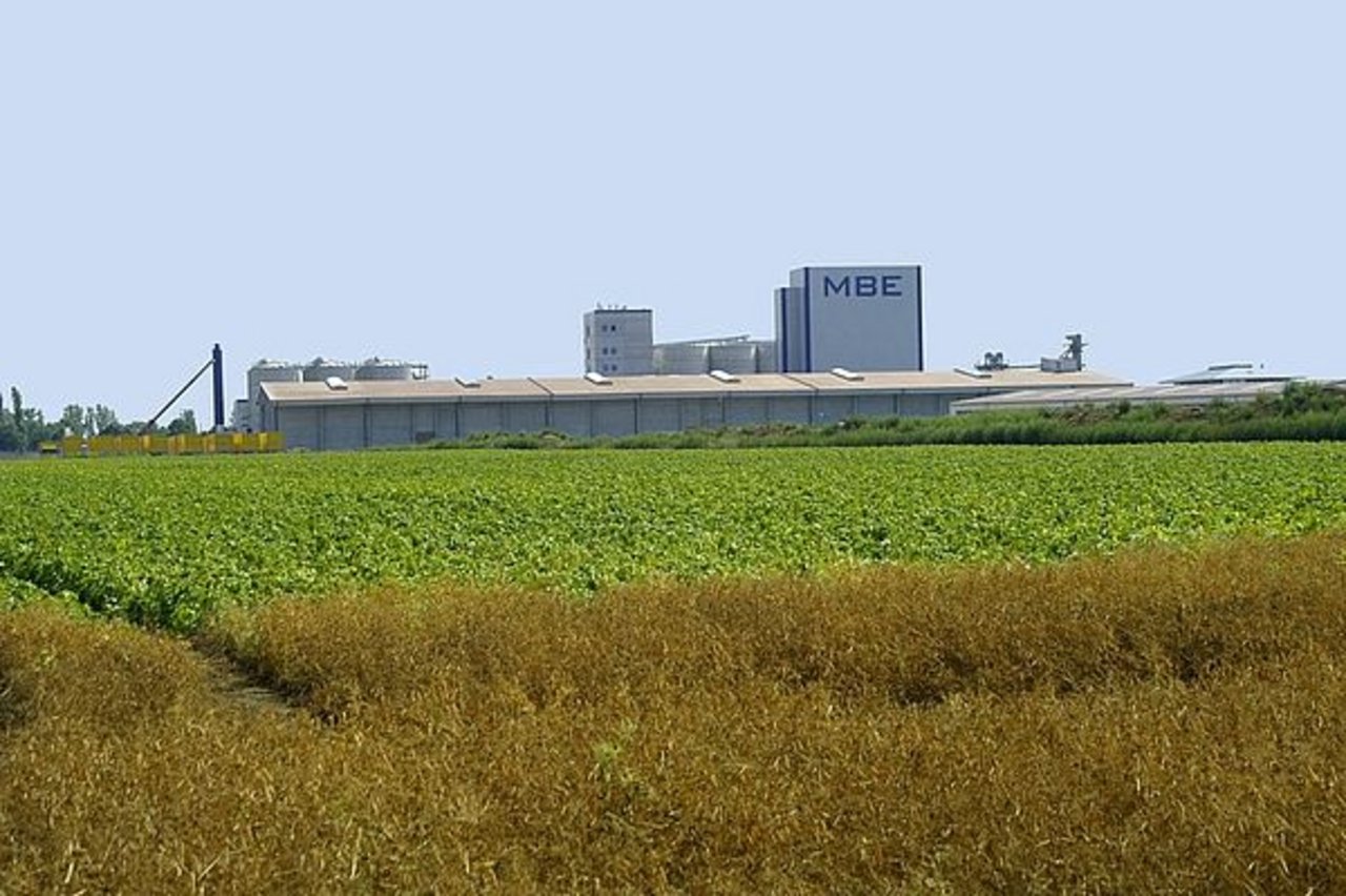 Laut UFOP sei die Biokraftstoffproduktion zumeist dort angesiedelt, wo es ohnehin Rohstoffüberschüsse gibt. (Bild © agrar-press)