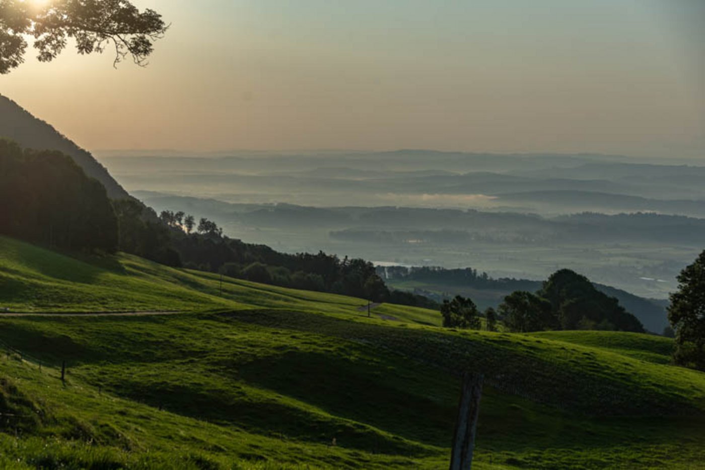 Die Aussicht vom Luchernhof. Kurz nach Sonnenaufgang verschwindet das  Mittelland unter einer feinen Dunstschicht. Im Hintergrund sind  an klaren Tagen die Alpen zu sehen.