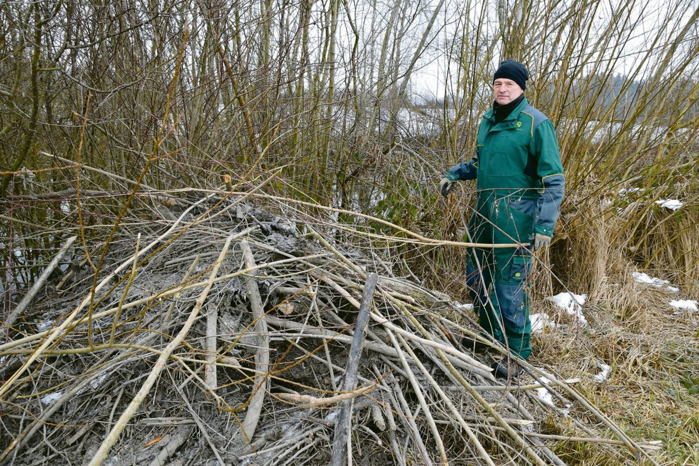 Ruedi Wüthrich aus Allmendingen b. Bern bei einem Biberbau. Der Landwirt beklagt grosse Schäden wegen des Nagers.  (Bilder BauZ/Peter Fankhauser)