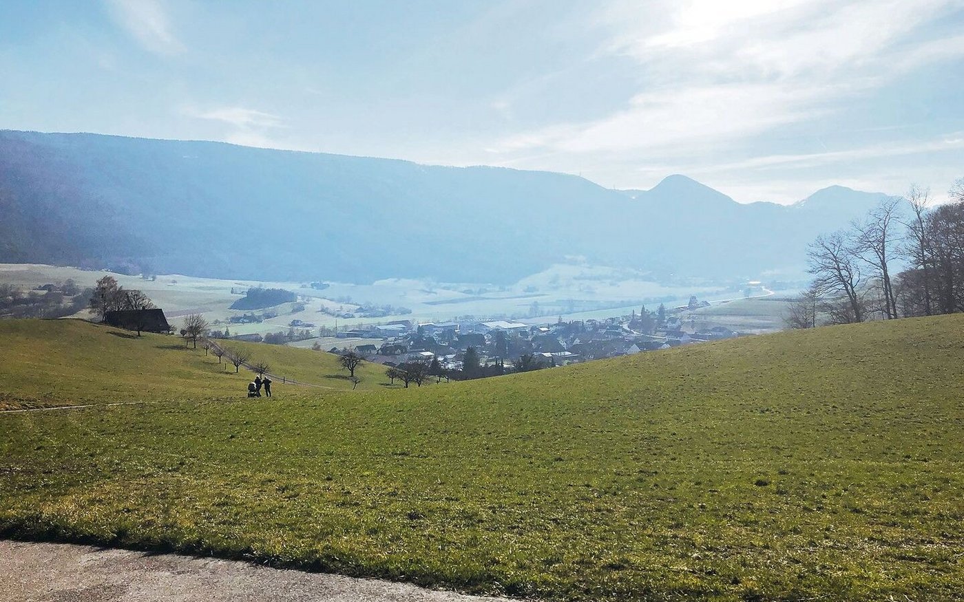 Liegt in einer Wiese ein Lückenanteil von 20 % vor, resultiert ein Ertragsverlust von zwölf Prozent. Dieser kann allerdings mit bekannten Tricks zum richtigen Zeitpunkt verhindert werden.