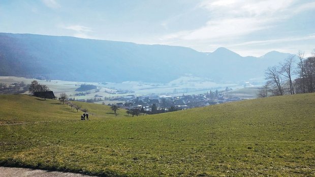 Liegt in einer Wiese ein Lückenanteil von 20 % vor, resultiert ein Ertragsverlust von zwölf Prozent. Dieser kann allerdings mit bekannten Tricks zum richtigen Zeitpunkt verhindert werden.