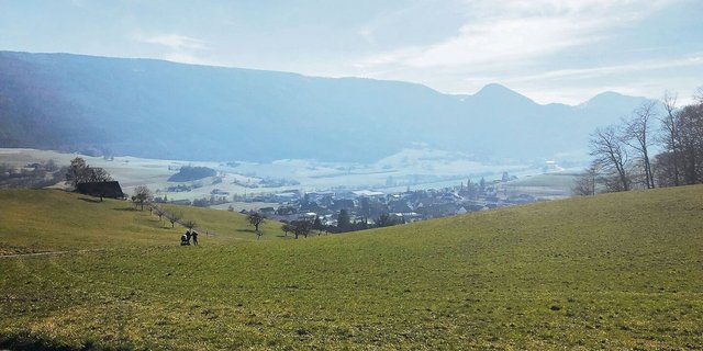 Liegt in einer Wiese ein Lückenanteil von 20 % vor, resultiert ein Ertragsverlust von zwölf Prozent. Dieser kann allerdings mit bekannten Tricks zum richtigen Zeitpunkt verhindert werden.