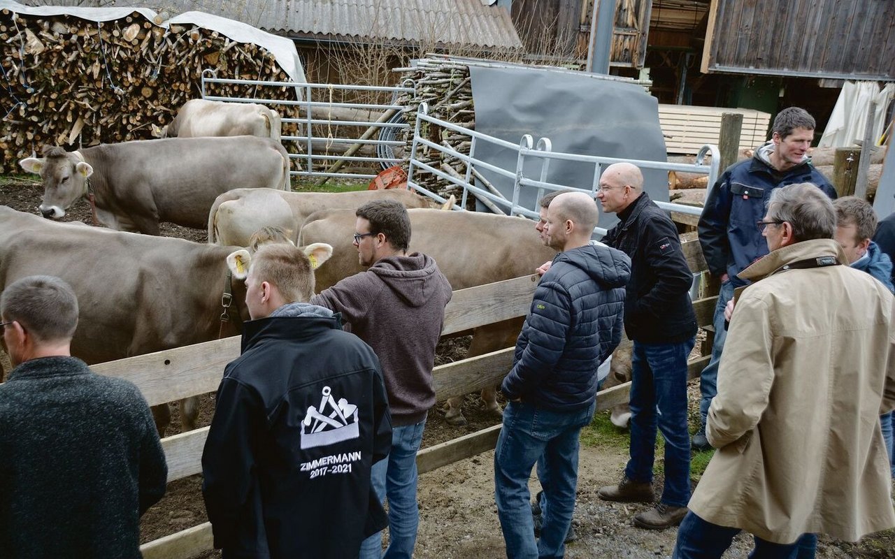 IG Neue Schweizer Kuh zu Besuch: Kleiner und breiter sind die Braunviehkühe von Thomas Müller (im braunen Pullover). 