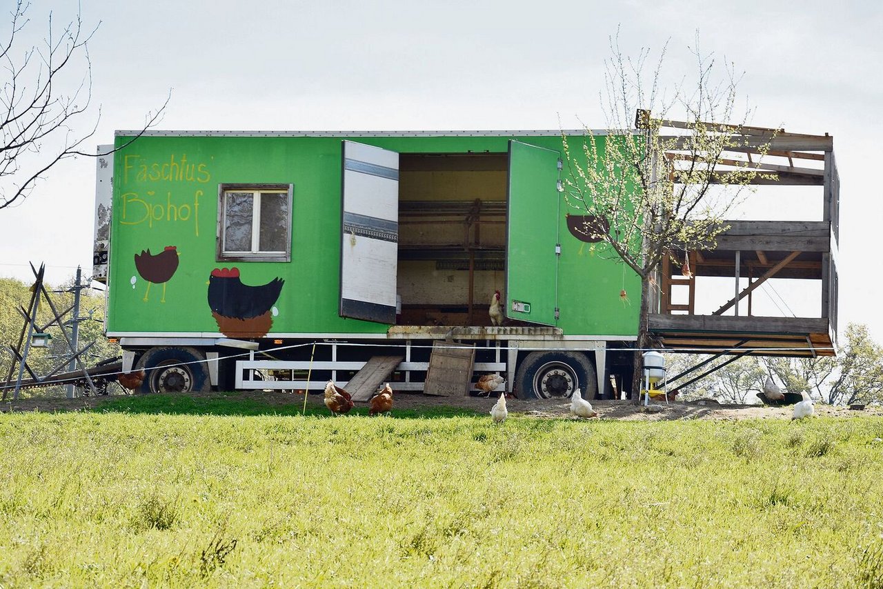 200 Legehennen der Rassen Cream und Coffee sind auf dem Betrieb zu Hause. Die Eier werden auch verkauft.