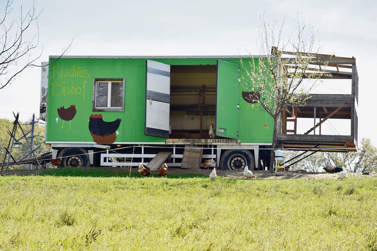 200 Legehennen der Rassen Cream und Coffee sind auf dem Betrieb zu Hause. Die Eier werden auch verkauft.