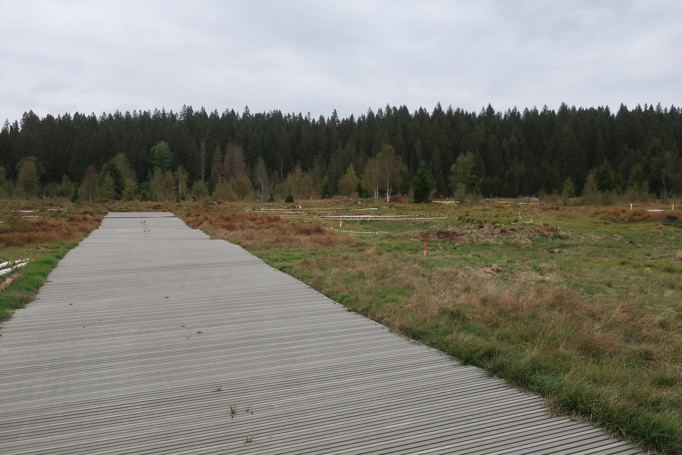 Die Moorlandschaft La Chaux-des-Breuleux bei Tramelan, Bern sei mit 283 Hektaren die drittgrösste der 89 Moorlandschaften von nationaler Bedeutung. (Bild FLS)