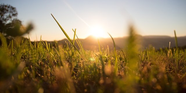 MeteoSchweiz erwartet Höchsttemperaturen für Mittwoch und Donnerstag - teils bis zu 39 Grad. (Bild Pixabay)