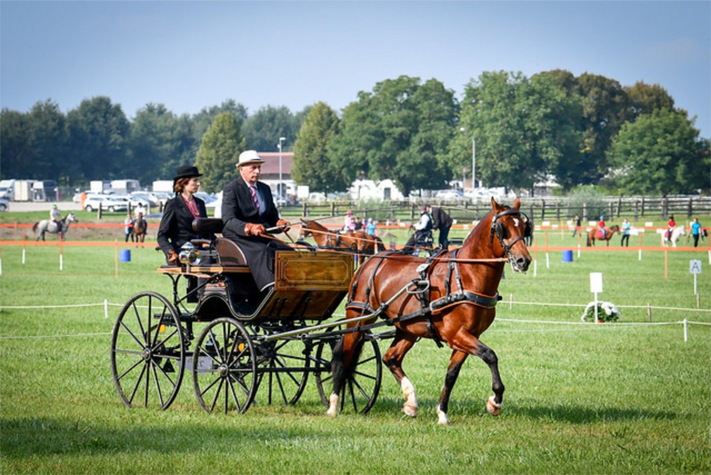 Bei schönstem Herbstwetter gab es am Pferdefestival grosses Kino für Pferdenarren. (Bilder Agroscope)
