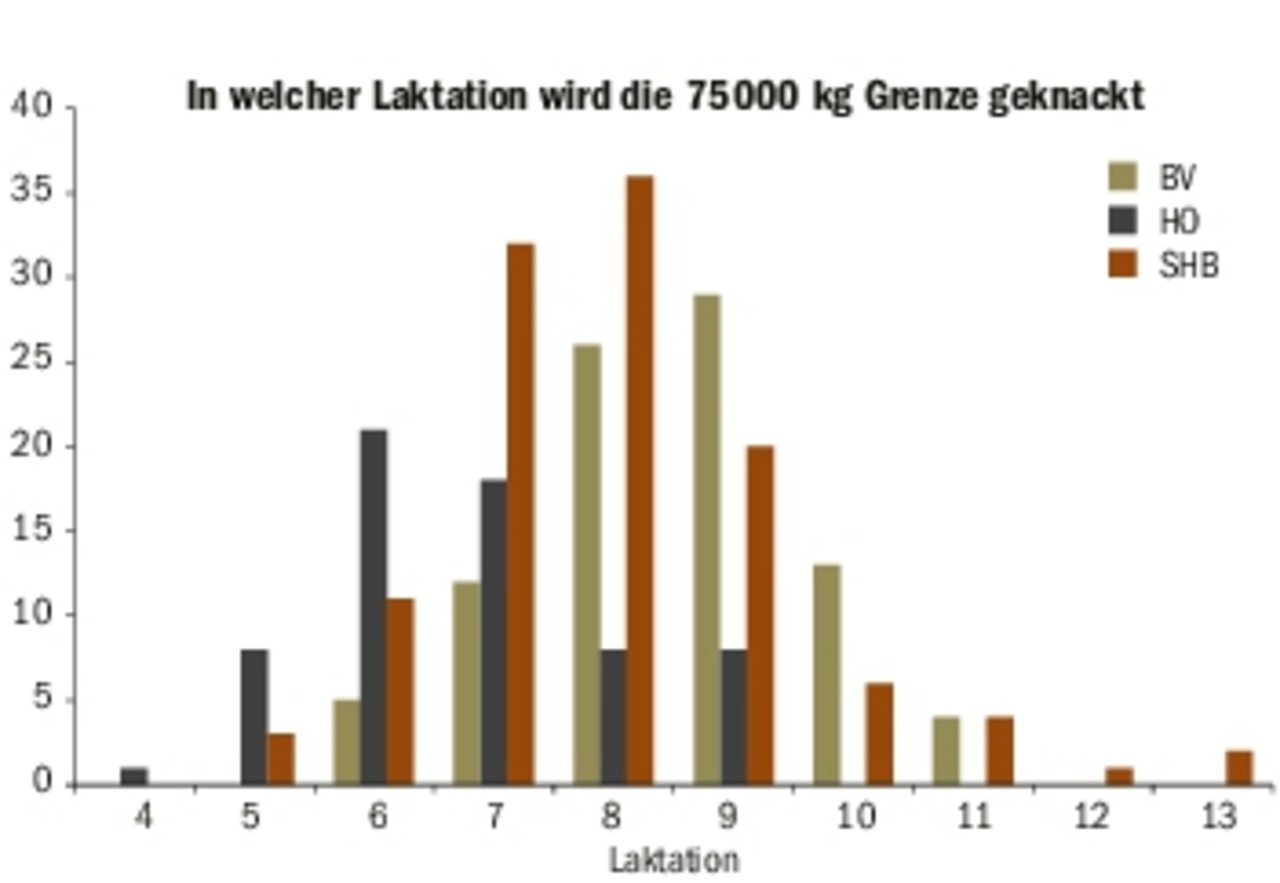 Nach vier bis 13 Laktationen wird die Leistung von 75?000 Kilo Milch erreicht (Datenauswertung von 268 Tieren). (Grafik Ueli Wolleb)