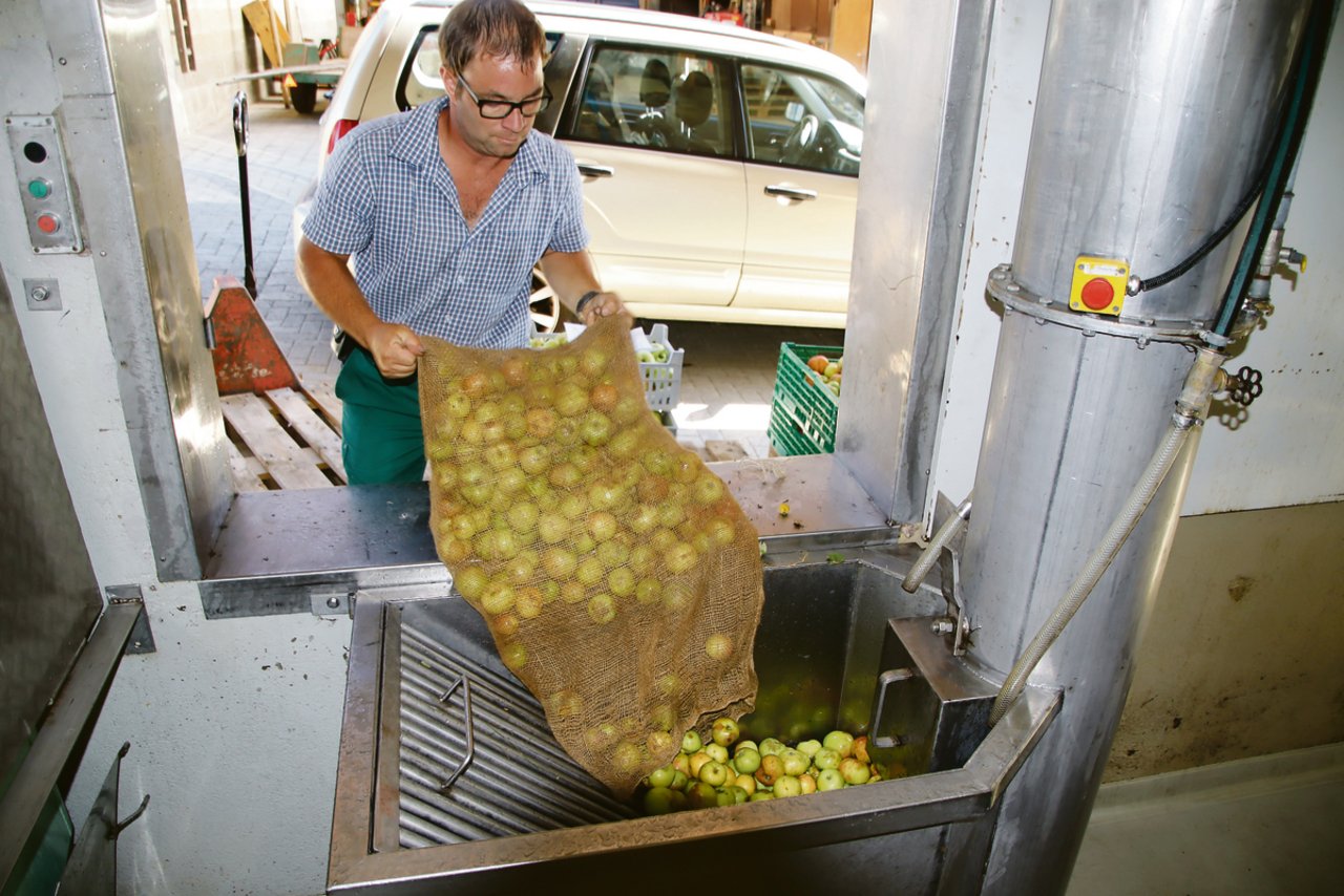 Daniel Bachmann leert einen Sack Mostäpfel in den Trichter für das Reinigen des Obstes. Anschliessend werden die Äpfel in die Obstmühle befördert.