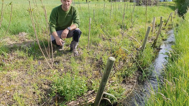 Landwirt Hubert Schürmann bei der neu angepflanzten Hecke entlang des Baches und Kleinstrukturen im Hintergrund. Vorne die Faschine als natürliche Bachverbauung. (Bild Josef Scherer)