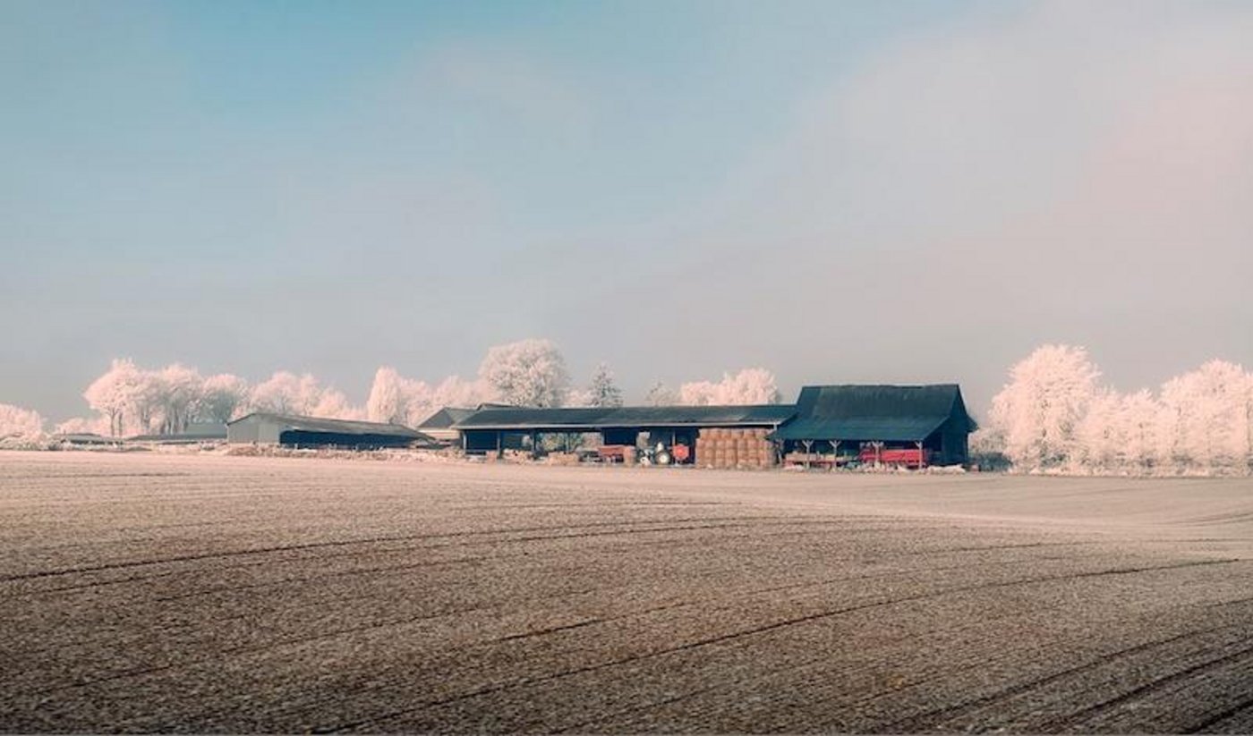 Im Jahr 2018 gab es in Frankreich weniger Insolvenzen bei den Bauern. (Bild pixabay)