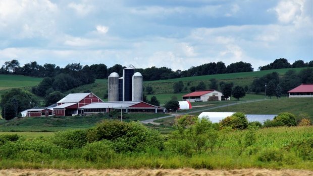 Milchwirtschaft ist für den US-Bundesstaat von grosser Bedeutung - er wird auch als Amerikas Käseland bezeichnet. (Bild lid/mr)