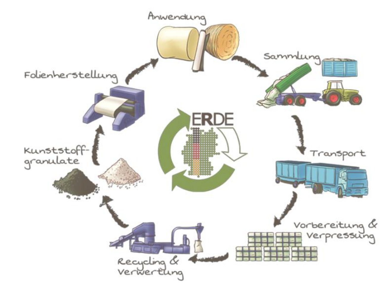 Der Recycling-Kreislauf: Gebrauchte Folien aus der Landwirtschaft werden gesammelt, gepresst und zu Kunststoffgranulaten verarbeitet. Daraus entstehen wieder Folien oder andere Produkte. Grafik ERDE)