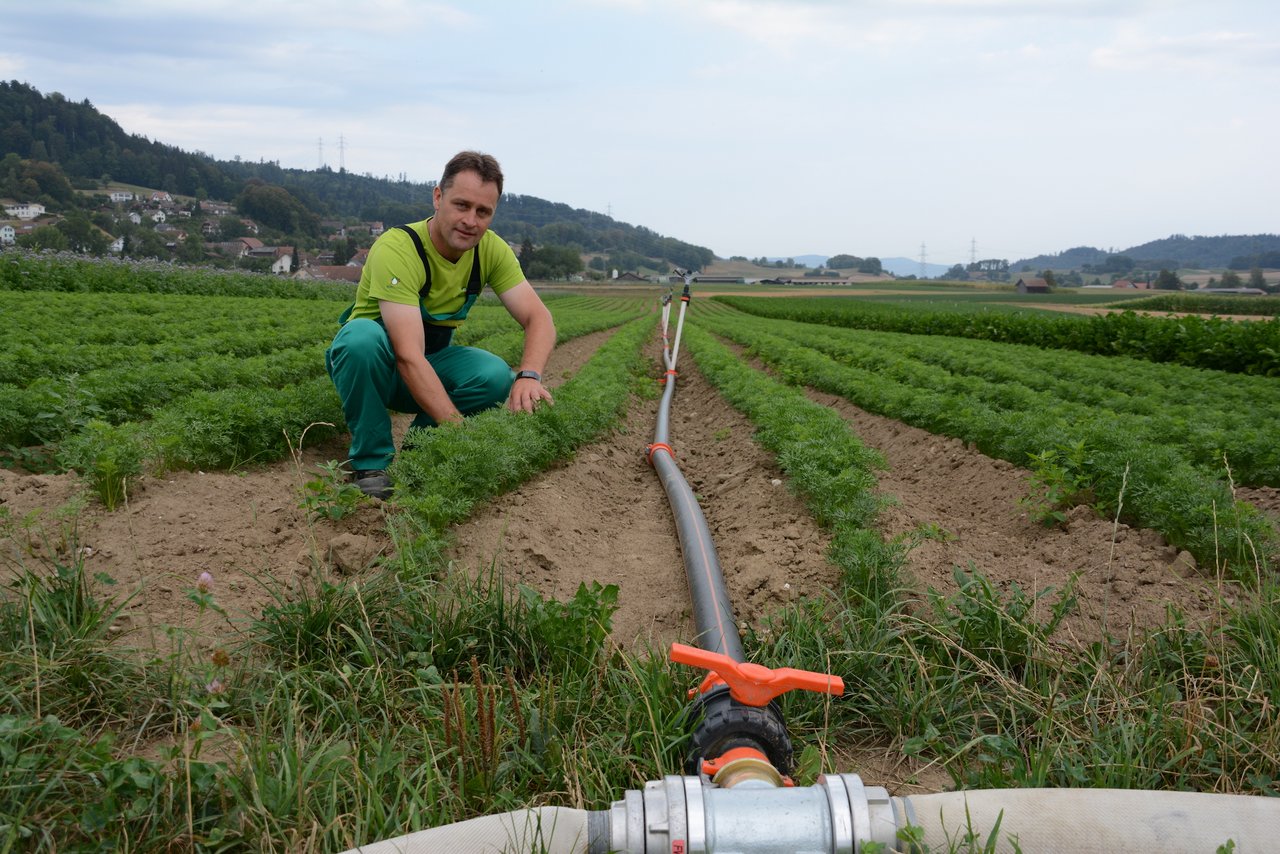 Seit MItternacht des 4. August darf Daniel Steiner aus Reitnau AG wegen des tiefen Pegelstandes kein Wasser aus der Suhr entnehmen. Die Wasserversorgung ermöglichte dem Biobauer jedoch den nächtlichen Wasserbezug von Hydranten.