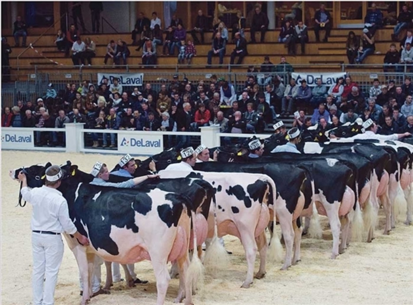 Die Expo Bulle 2017 wurde wegen des Vorfalls an der Expo Sarine abgesagt. (Bild BauZ) 