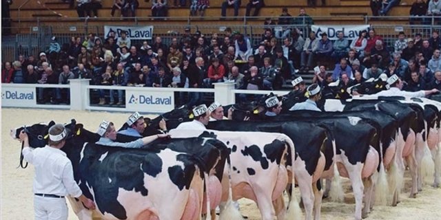 Die Expo Bulle 2017 wurde wegen des Vorfalls an der Expo Sarine abgesagt. (Bild BauZ) 