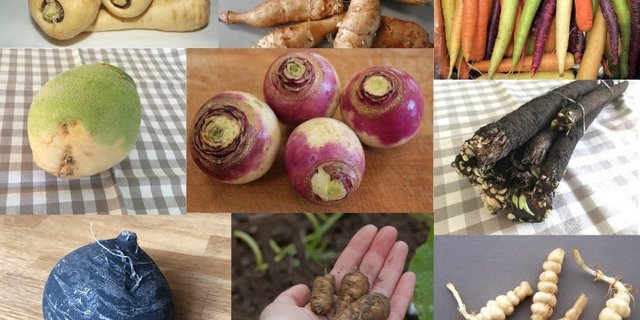 Scharf, Süsslich, nussig, aromatisch: Der Gemüse-Winter muss nicht langweilig sein. (Bildautoren siehe Text, Montage jsc)