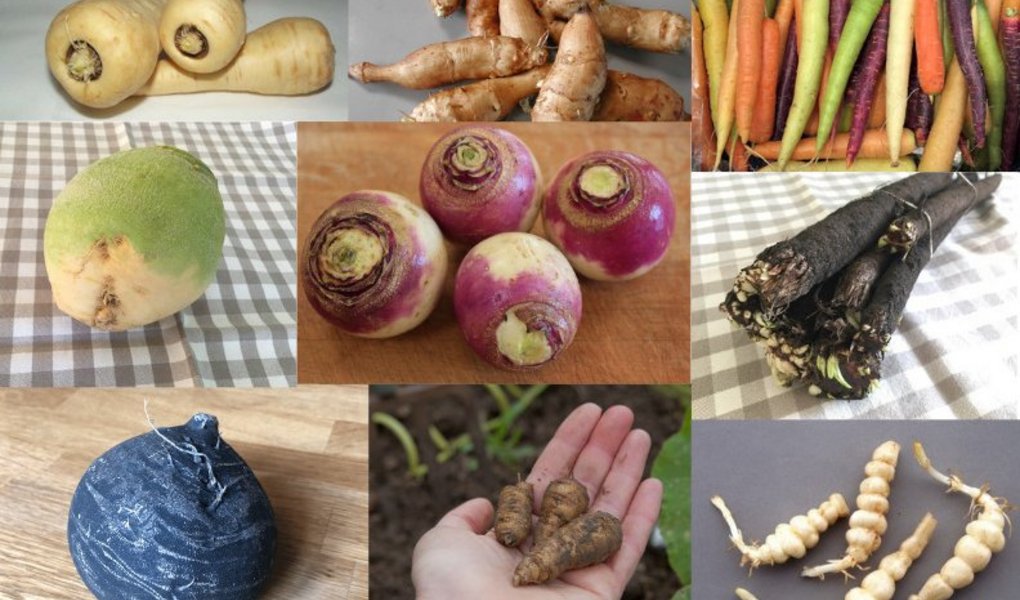 Scharf, Süsslich, nussig, aromatisch: Der Gemüse-Winter muss nicht langweilig sein. (Bildautoren siehe Text, Montage jsc)